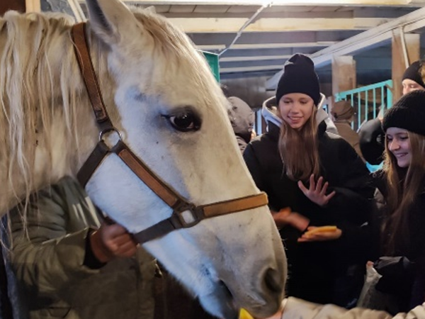 посещение конюшни